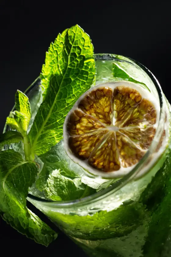 Mojito con hierbabuena y limón deshidratado